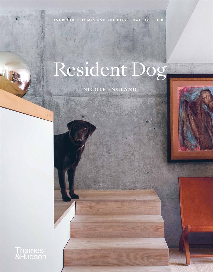 Resident Dog - Incredible Homes and the Dogs That Live There